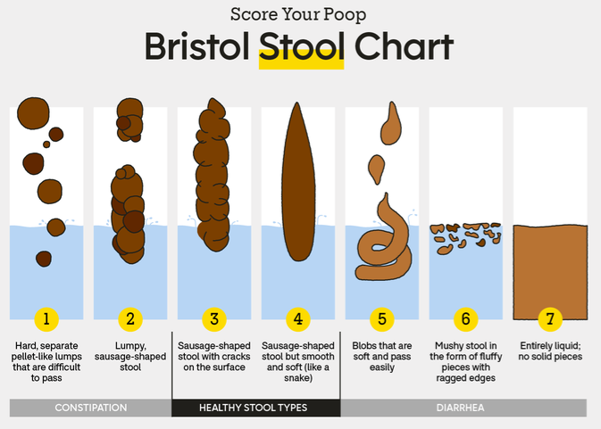 Stool Types