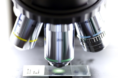 Microscope